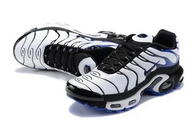 Air Max Plus TN 1 "Persian Violet"
