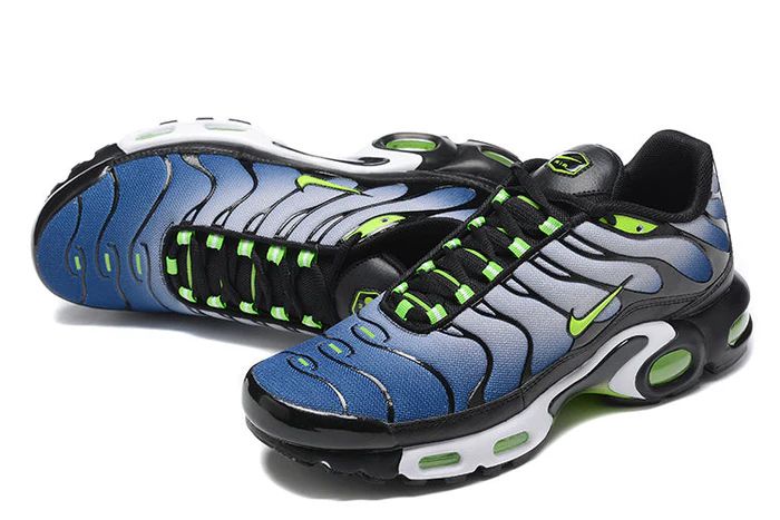 Air Max Plus TN 1 "Icons"
